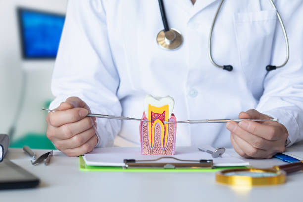 Best Mobile Emergency Dentist in Summerfield, MD